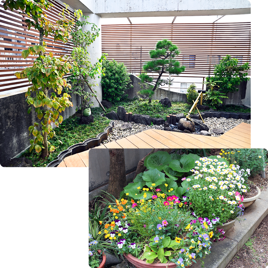 田中消化器科クリニック アンチエイジングフロア