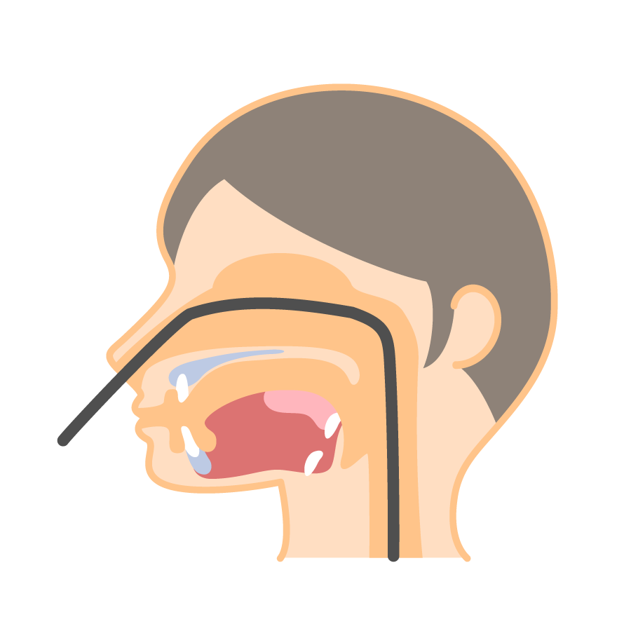 経鼻内視鏡のイメージ