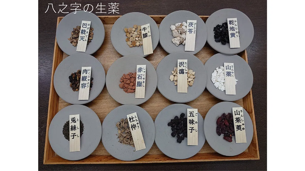 八之字の生薬