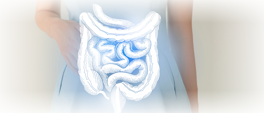 健やかな腸のイメージ